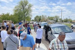 Boost Garden City Tyson Money: Local Economy & Jobs | The Ultimate Gardening Guide: Grow a Thriving Garden Year-Round