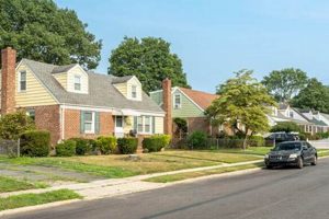 Explore East Garden City, Long Island | Local Guide | The Ultimate Gardening Guide: Grow a Thriving Garden Year-Round