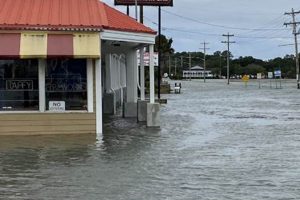 Garden City SC High Tides: Times, Safety & More! The Ultimate Gardening Guide: Grow a Thriving Garden Year-Round Garden City SC High Tides: Times, Safety & More! | The Ultimate Gardening Guide: Grow a Thriving Garden Year-Round