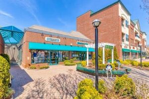 Living on 7th Street, Garden City, NY: A Guide The Ultimate Gardening Guide: Grow a Thriving Garden Year-Round Living on 7th Street, Garden City, NY: A Guide | The Ultimate Gardening Guide: Grow a Thriving Garden Year-Round