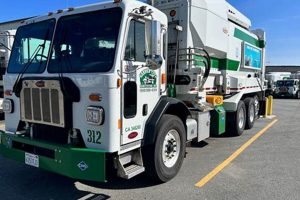 Best Garden City Sanitation: Services & Tips The Ultimate Gardening Guide: Grow a Thriving Garden Year-Round Best Garden City Sanitation: Services & Tips | The Ultimate Gardening Guide: Grow a Thriving Garden Year-Round