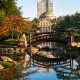 Explore Osaka Garden City, KS: Your Local Guide | The Ultimate Gardening Guide: Grow a Thriving Garden Year-Round