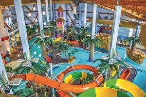 Get Pure Garden City Water: Benefits & Tips! | The Ultimate Gardening Guide: Grow a Thriving Garden Year-Round