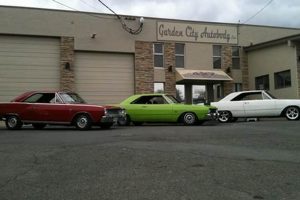 Local Garden City Collision Guide + Avoid Accidents! | The Ultimate Gardening Guide: Grow a Thriving Garden Year-Round