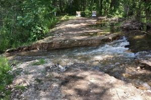 Prevent Garden City Washout: Erosion Control Tips The Ultimate Gardening Guide: Grow a Thriving Garden Year-Round Prevent Garden City Washout: Erosion Control Tips | The Ultimate Gardening Guide: Grow a Thriving Garden Year-Round