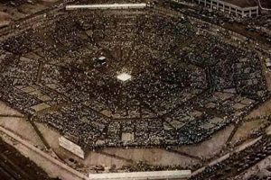 Long Island City's MSG Bowl: Boxing & History | The Ultimate Gardening Guide: Grow a Thriving Garden Year-Round