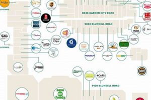 Your Guide to Garden City Shopping Centre Shops: Directory & Deals | The Ultimate Gardening Guide: Grow a Thriving Garden Year-Round