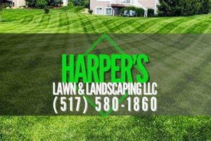 Best Harrison City Lawn & Garden: Tips + Services | The Ultimate Gardening Guide: Grow a Thriving Garden Year-Round