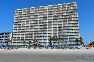 Explore Water's Edge: Garden City Beach, SC Guide | The Ultimate Gardening Guide: Grow a Thriving Garden Year-Round