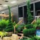 Your Guide: Home & Garden Show Corpus Christi 2024! | The Ultimate Gardening Guide: Grow a Thriving Garden Year-Round
