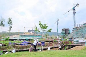 Garden City Utilities: Essential Services in Your City | The Ultimate Gardening Guide: Grow a Thriving Garden Year-Round