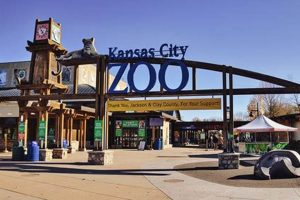 Visit The Garden City, KS Zoo: Animals & Fun! | The Ultimate Gardening Guide: Grow a Thriving Garden Year-Round