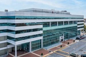 Discover 900 Stewart Ave, Garden City: Guide & Insights | The Ultimate Gardening Guide: Grow a Thriving Garden Year-Round