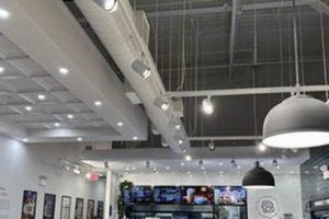 Discover Paris Baguette in Garden City's Heart! | The Ultimate Gardening Guide: Grow a Thriving Garden Year-Round