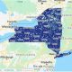 Garden City, NY: Find the Exact Zip Code Today! | The Ultimate Gardening Guide: Grow a Thriving Garden Year-Round