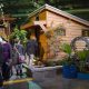 Your Dream Home: Portland, Oregon Home & Garden Show | The Ultimate Gardening Guide: Grow a Thriving Garden Year-Round