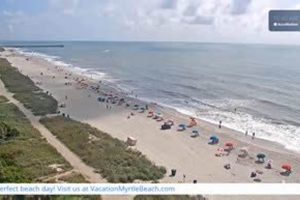 Live Webcam: Garden City, SC - [See Now!] | The Ultimate Gardening Guide: Grow a Thriving Garden Year-Round
