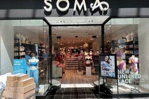 Discover Soma Garden City: Green Living in the City | The Ultimate Gardening Guide: Grow a Thriving Garden Year-Round