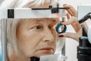 Garden City LASIK: See Clearly, Live Brighter | The Ultimate Gardening Guide: Grow a Thriving Garden Year-Round