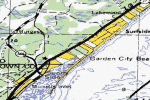 Guide to Garden City SC Zip Code: Info & More! | The Ultimate Gardening Guide: Grow a Thriving Garden Year-Round