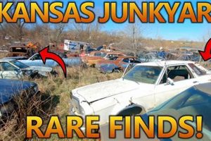 Find Junkyards in Garden City, KS: Local Salvage Yards | The Ultimate Gardening Guide: Grow a Thriving Garden Year-Round