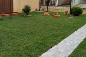 Discover Canoas Garden: Your [City/Region] Oasis | The Ultimate Gardening Guide: Grow a Thriving Garden Year-Round