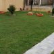 Discover Canoas Garden: Your [City/Region] Oasis | The Ultimate Gardening Guide: Grow a Thriving Garden Year-Round