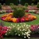 Design a Circular Garden Oasis: Ideas & Inspiration | The Ultimate Gardening Guide: Grow a Thriving Garden Year-Round