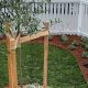 Define Your Garden: Stylish Garden Ring Edging | The Ultimate Gardening Guide: Grow a Thriving Garden Year-Round