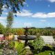 Serene Garden View: Designs &amp; Values | The Ultimate Gardening Guide: Grow a Thriving Garden Year-Round