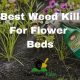Top-Rated Weed Killer for Flower Garden: Reviews & Tips | The Ultimate Gardening Guide: Grow a Thriving Garden Year-Round