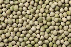 Buy Best Garden Peas Seeds Online: [Year] Varieties | The Ultimate Gardening Guide: Grow a Thriving Garden Year-Round