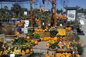 Your Guide: Fort Worth Home & Garden Show [Year] Tips | The Ultimate Gardening Guide: Grow a Thriving Garden Year-Round