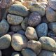 Garden Gems: Large Garden Stones & Rock Designs | The Ultimate Gardening Guide: Grow a Thriving Garden Year-Round