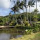 Experience Smith Family Garden Luau in Kapaa, HI! | The Ultimate Gardening Guide: Grow a Thriving Garden Year-Round