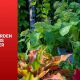 Denver Garden Zone Guide: Grow Like a Pro! | The Ultimate Gardening Guide: Grow a Thriving Garden Year-Round