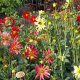 Buy Wild Garden Seed Mix: Grow Native Blooms! | The Ultimate Gardening Guide: Grow a Thriving Garden Year-Round