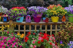 Grow Your Own: Greenery Garden Ideas & Inspiration The Ultimate Gardening Guide: Grow a Thriving Garden Year-Round Grow Your Own: Greenery Garden Ideas & Inspiration | The Ultimate Gardening Guide: Grow a Thriving Garden Year-Round