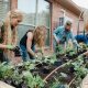Hire A Local Garden Consultant Today! | The Ultimate Gardening Guide: Grow a Thriving Garden Year-Round