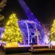 Explore Redding's Garden of Lights: A Holiday Spectacle! | The Ultimate Gardening Guide: Grow a Thriving Garden Year-Round
