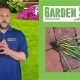 Unlock Your Garden Sense: Tips &amp; Secrets! | The Ultimate Gardening Guide: Grow a Thriving Garden Year-Round