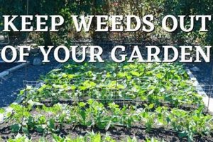 Beyond the Garden: Out of the Garden Growth | The Ultimate Gardening Guide: Grow a Thriving Garden Year-Round