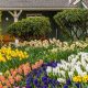 Design Your Dream Rainbow Garden: Colors & Blooms! | The Ultimate Gardening Guide: Grow a Thriving Garden Year-Round