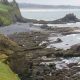 Explore the Yaquina Head Marine Garden Oasis! | The Ultimate Gardening Guide: Grow a Thriving Garden Year-Round