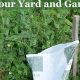 Garden Secrets: How to Keep Deer Away From Your Garden Today! | The Ultimate Gardening Guide: Grow a Thriving Garden Year-Round