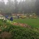 Explore: Rockefeller Garden Maine Beauty & Tips | The Ultimate Gardening Guide: Grow a Thriving Garden Year-Round