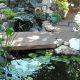 Tiny Oasis: Garden Pond Ideas for Small Gardens (DIY!) | The Ultimate Gardening Guide: Grow a Thriving Garden Year-Round