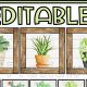 Easy Label Plants in Garden: A Complete Garden Guide | The Ultimate Gardening Guide: Grow a Thriving Garden Year-Round