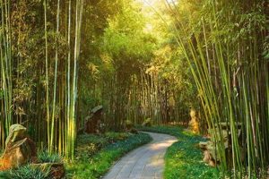 Visit Bamboo Gardens Near Me: [City/Region] Oasis | The Ultimate Gardening Guide: Grow a Thriving Garden Year-Round