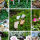 Enchanted Fairy Garden Terrarium: DIY Magic! | The Ultimate Gardening Guide: Grow a Thriving Garden Year-Round